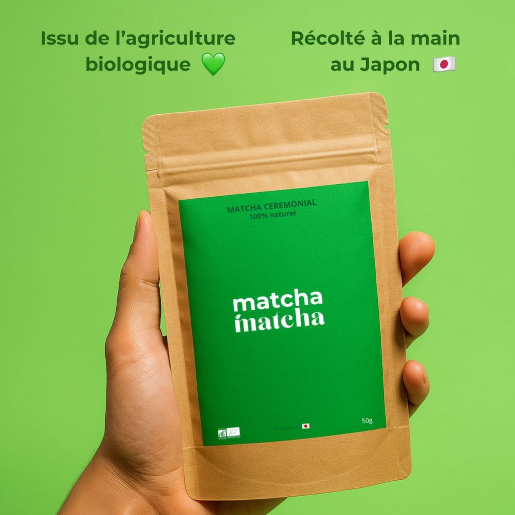Thé Matcha Cérémonie Bio