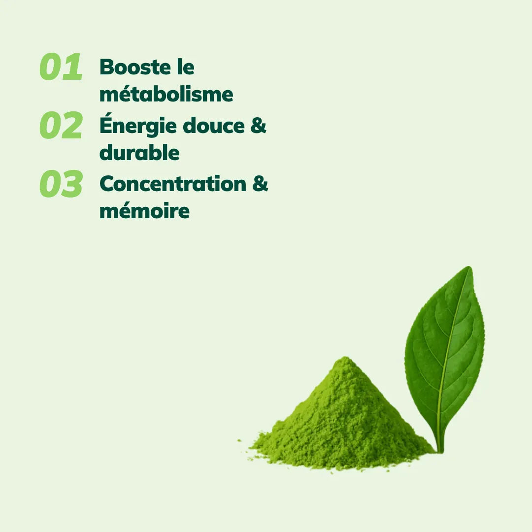 Thé Matcha Cérémonie Bio