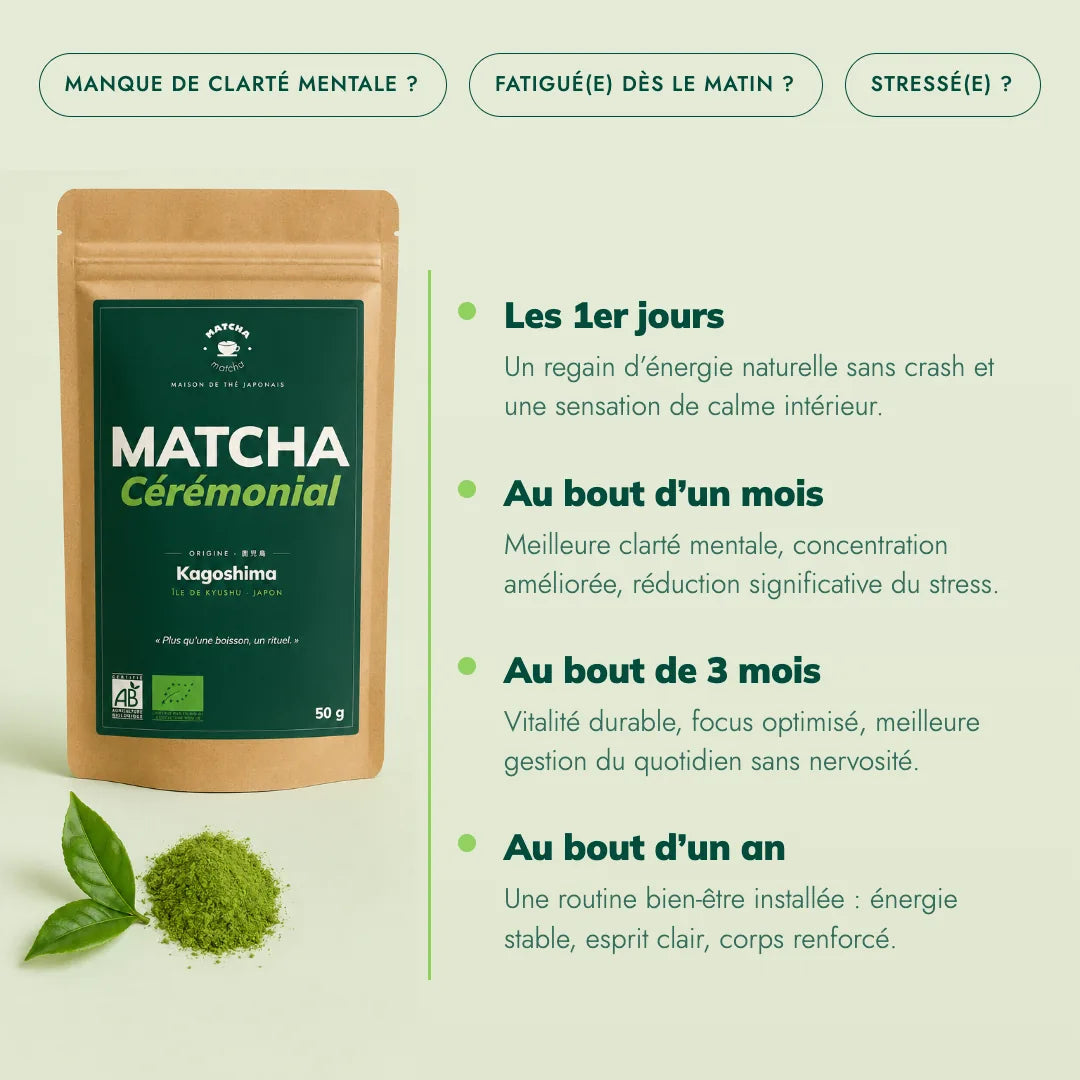 Thé Matcha Cérémonie Bio